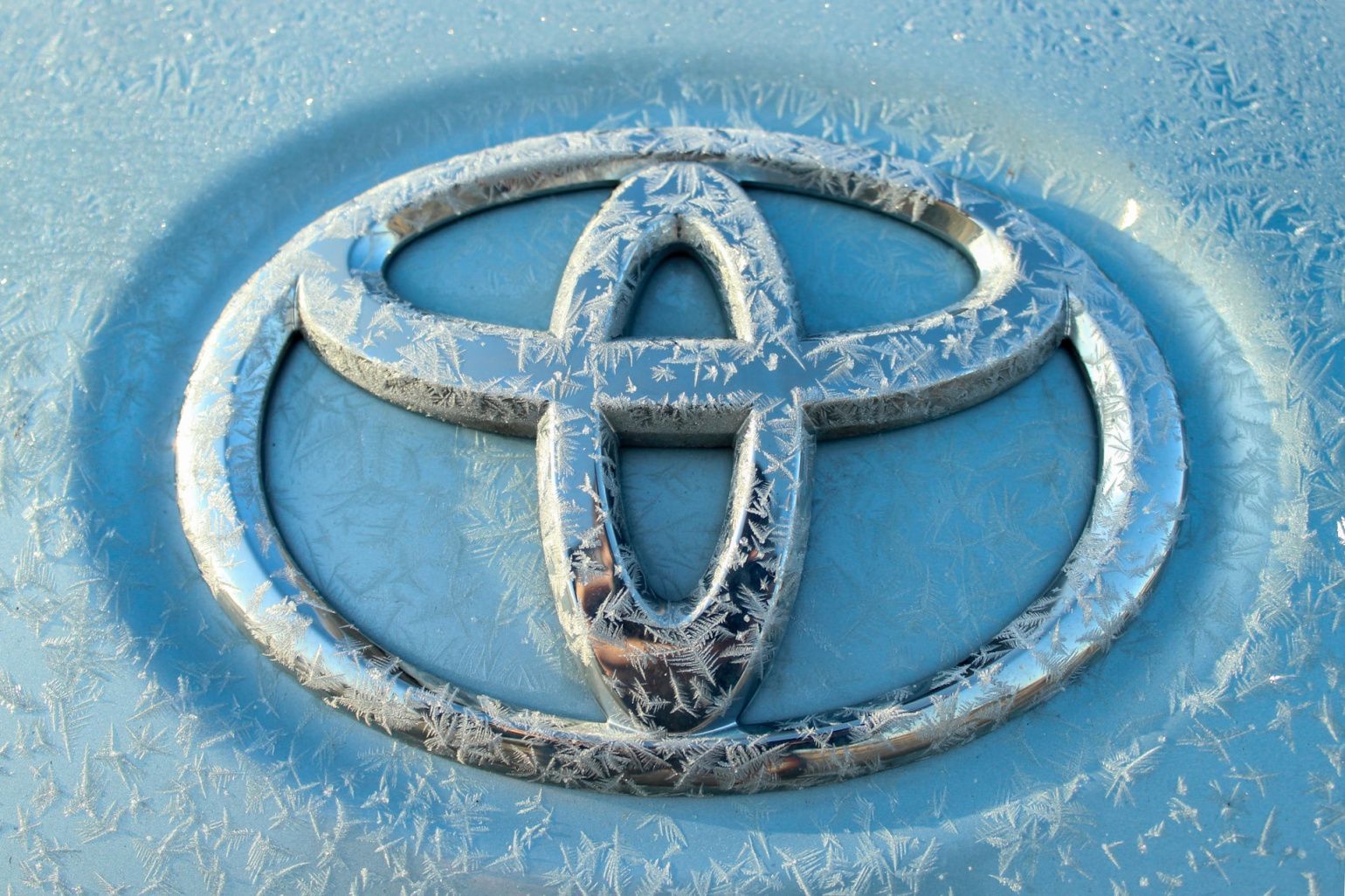 Руководство Toyota ставит под вопрос отказ от бензиновых авто